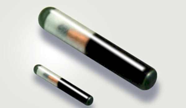 ЗооАртСалон. Чипирование собак и кошек