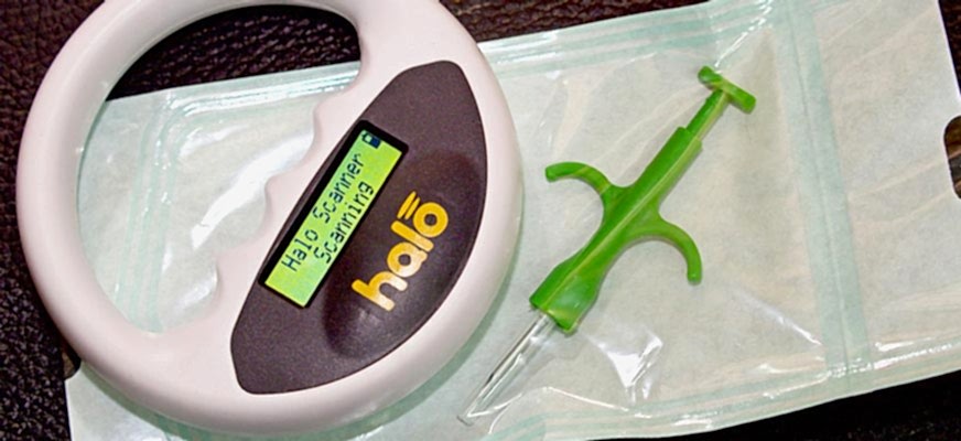 Чипирование собак и кошек | ЗооСалон Алматы