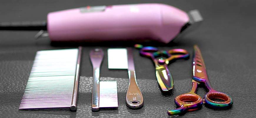 Кто такой грумер | ЗооСалон Алматы?