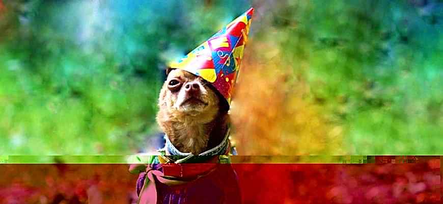 День Рождения