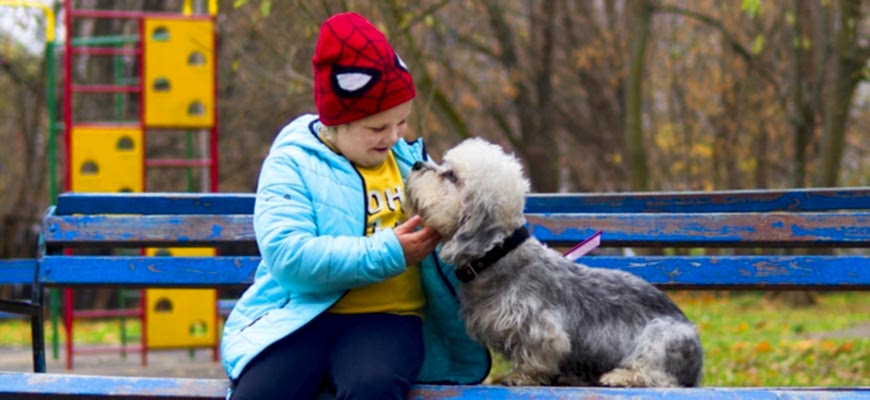 Юному владельцу собаки